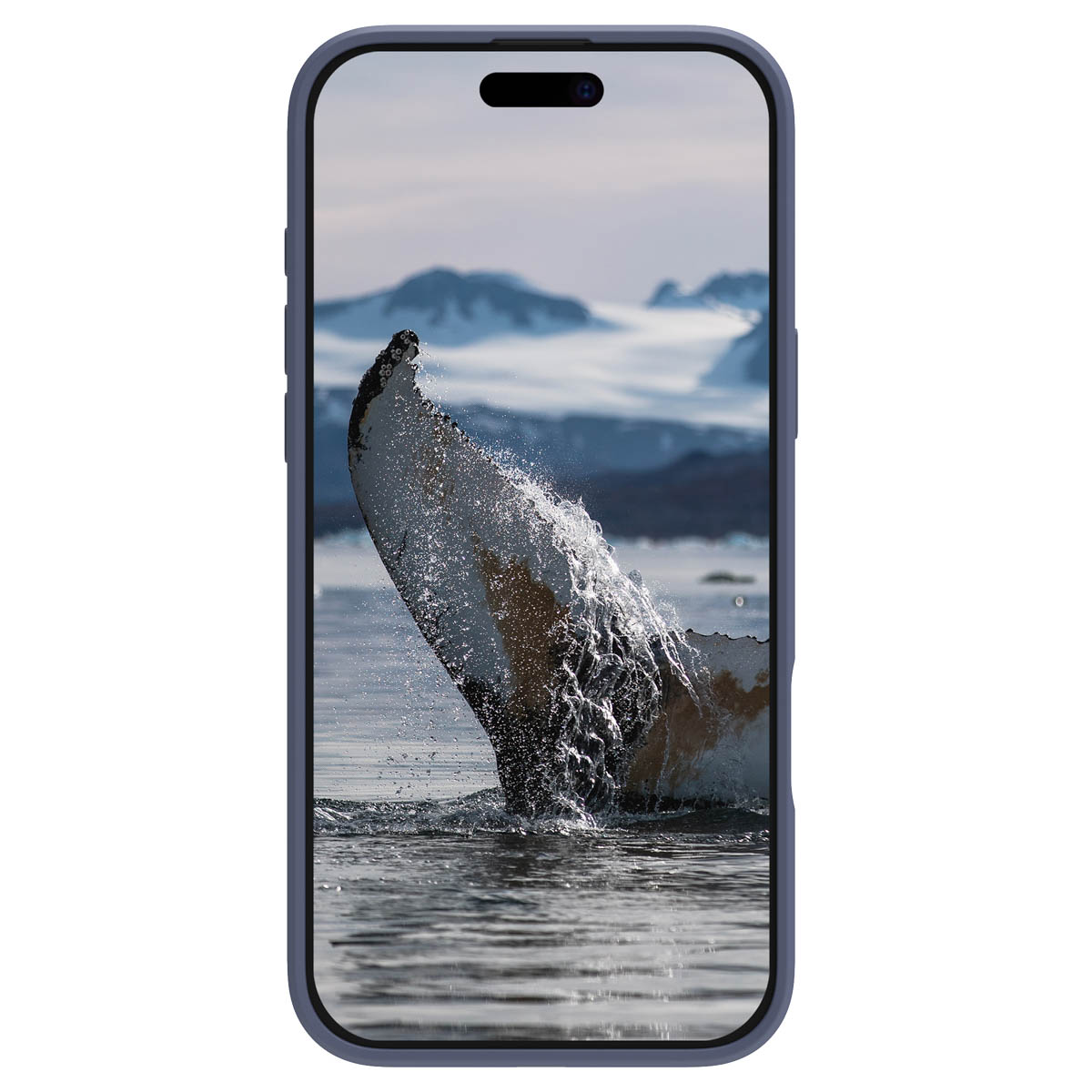 dbramante1928 Greenland Pro Backcover MagSafe Apple iPhone 16 - Pacific Blue - Afbeelding 3