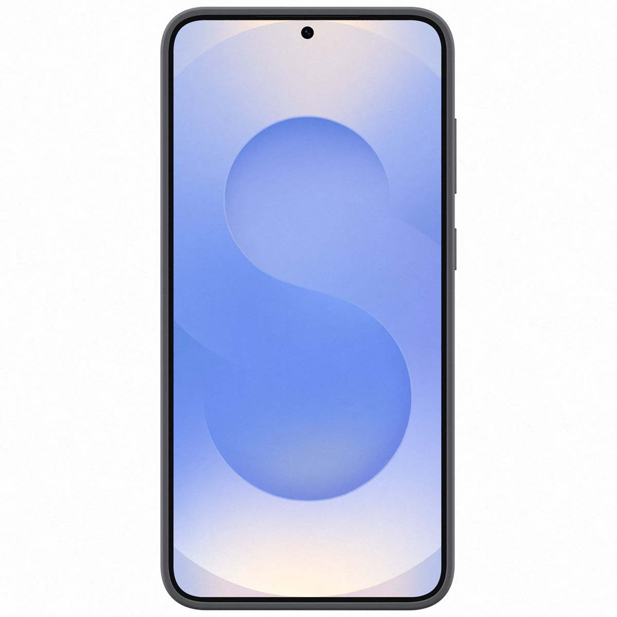 Originele Silicone Backcover Samsung Galaxy S25 Plus - Zwart - Afbeelding 2